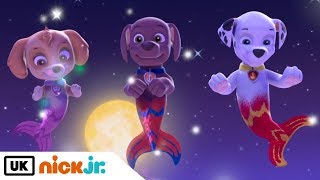 Paw Patrol  Pups Save Puplantis Part 1  Nick Jr UK [upl. by Korman]