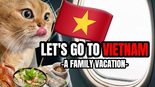 CAT MEMES LETS GO TO VIETNAM PT1 [upl. by Blanche]