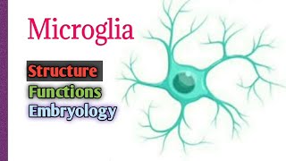 Microglia Structure Functions with animation [upl. by Akeemat]