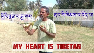 An Indian man tellsquoti am Indian by birth but Tibetan by heartquot karmawoeser [upl. by Lahsram]