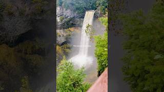 Brandywine Falls brandywine whistlerbc tourist popular waterfall canada foryou trending [upl. by Enirolf484]