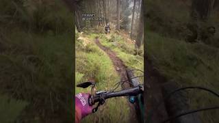 Steep MTB trails at Aberfoyle Mountain bike Enduro trails mtb mtbpov mountainbiker mtbrider [upl. by Gnirol895]