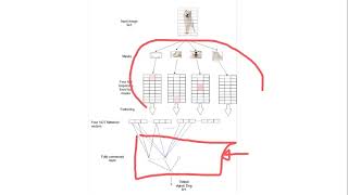 how a CNN model processes an image [upl. by Fermin]