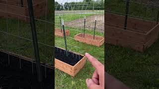 Raised Bed With Trellis DIY [upl. by Adnalra55]