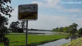 Hochwasser 2013  13 Juni Aken Trebbichau Wulfen [upl. by Nellac]