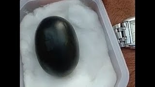 How to test Shaligram real stone testing Call me Sadab 8459487861 [upl. by Tavie]