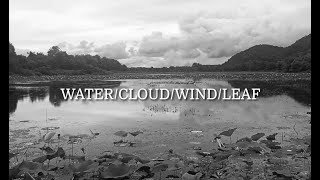 quotWATERCLOUDWINDLEAF A Hoeft Marsh Melodyquot [upl. by Burnley]