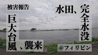 【大惨事？】フィリピンの農村に巨大台風が襲来すると‥ [upl. by Ahsuatal]