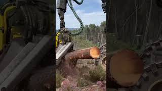 Precision maneuvering John deere 1270g harvester in the forest johndeere harvester viral wood [upl. by Nahk]