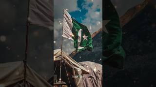 Happy Independence Day 🎉 14 August 🇵🇰 azadi 14august ytshorts [upl. by Micheal]