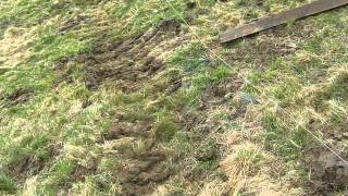 looking at gate way and post marking  rocky ground [upl. by Ferguson]