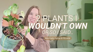 Pilea amp Peperomia Comparison  Sharing care tips amp propagation methods [upl. by Kellyann695]