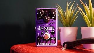 One of the most SoughtAfter Ampsin a Boxfor 50  Caline Enchanted Tone Overdrive [upl. by Icken]