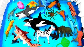 Box Full Of ZOO Animals Toys Learn with Wild Animal For Kids [upl. by Ahsoik]