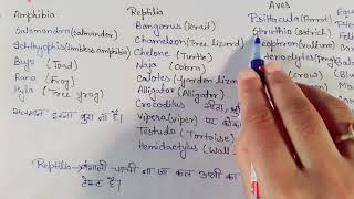 Tetrapoda examples with super pnemonics 😱😁 [upl. by Walley]