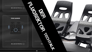 Thrustmaster TFlight Rudder Pedals TFRP1 deutsch [upl. by Aynotal]