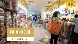 Singapore Walking Tour  The Bencoolen Oct 2021 4K [upl. by Enautna]