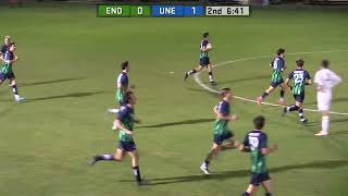 Endicott Mens Soccer Highlights vs UNE 102924 Fisher Mills x2 [upl. by Patricio860]