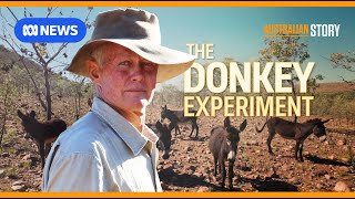 The maverick outback grazier using donkeys to regenerate his land  Australian Story [upl. by Neville271]