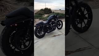 Sportster Iron 883 Customized HarleyDavidson [upl. by Haissi]