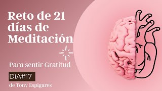 DÍA 17 RETO de 21 días de MEDITACIÓN para SENTIR GRATITUD de las enseñanzas del DR JOE DISPENZA [upl. by Tekcirc893]