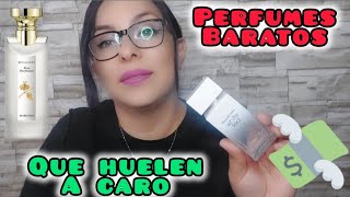 Perfumes Baratos que huelen a caro [upl. by Akcirahs]