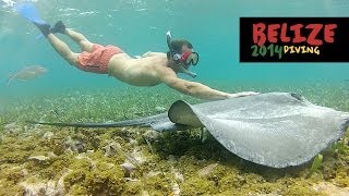 Scuba Diving amp Snorkeling in Belize  2014 [upl. by Nnitsuj]