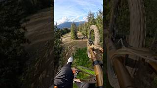 The Biggest Jumps in Whistler Bike Park 😍 whistler crabapple 🦀🍎 [upl. by Yhtomot469]