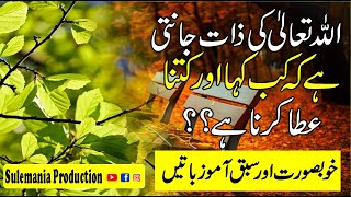 ALLAH Kay Faislay Aur Hikmat Quotes in Urdu  Amazing Quotes  Sulemania Producion [upl. by Nnylak422]