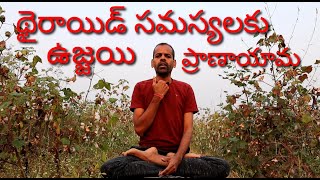 Ujjayi Pranayama  Healthy throat amp thyroid problems  Swami Vivekananda Yoga Trust [upl. by Hseyaj]