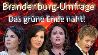 BrandenburgUmfrage Grüne vor der VOLLKATASTROPHE [upl. by Akirre519]