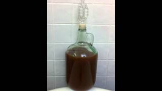 Molasses fermentation [upl. by Jaquith]