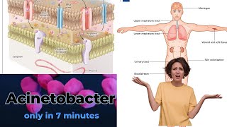 acinetobacter microbiology lecture acinetobacter Easy Microbiology [upl. by Wiersma]