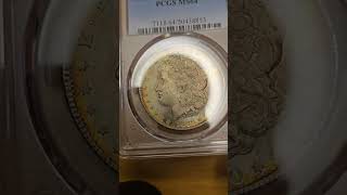 Toned Morgan Silver Dollar rarecoins tonedcoins morgandollar money business investing gold [upl. by Lleksah]