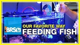 FAQ 13 How do we feed the fish in our 160 gallon reef aquarium  52 FAQ [upl. by Saffian469]