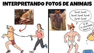 COMPILADO DE TIRINHAS INTERPRETANDO FOTOS DE ANIMAIS [upl. by Ynoble]