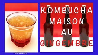 Kombucha au Gingembre Frais  Recette Maison Boisson Rafraîchissante amp Santé [upl. by Dianuj]