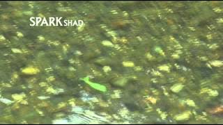 MEGABASS MOVIE 078 SPARK SHAD [upl. by Daukas]