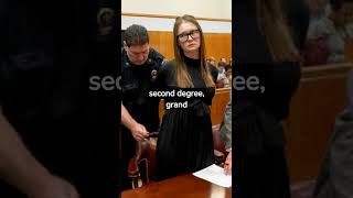 How much did Anna Delvey steal  part III [upl. by Terrej]