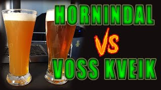 Voss vs Hornindal split batch Experiment  Competition Hornindal WINNER [upl. by Marguerita]