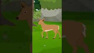 Shak Part 1  One Minute Story  Cartoon  cartoonanimal [upl. by Kinchen402]