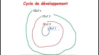 Cycle de développement chez les algues [upl. by Idoc]