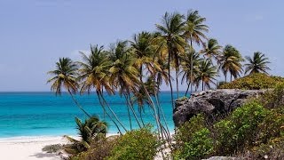 Worlds Best Beaches Bottom Bay  Barbados 4KUHDUltraHD [upl. by Geier]