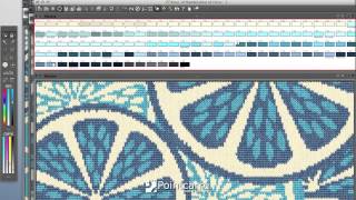 Pointcarre ProDesign  Textile CAD Program [upl. by Gelya]