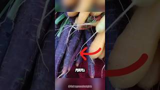 carrots used to be purple shorts carrot food [upl. by Lyns]