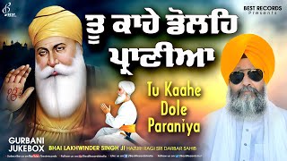 Bhai Lakhwinder Singh Ji Nonstop Shabad  Tu Kahe Dole Praniya  New Shabad Gurbani Kirtan 2024 [upl. by Havard]