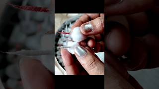 पूजा के लिए फूल बत्ती बनाने का तरीका  how to make cotton wick at home ytshorts shorts [upl. by Moyra]