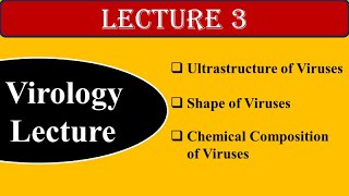 Virus  Ultrastructure  Size  Shape  Chemical Composition  Virology  Lecture3  SK Sir [upl. by Winters]