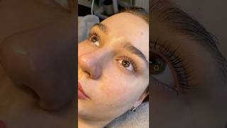 Wimpernlifting Mit Liebe zum Detail Kosmetiksalon Berlin 🤩 shortsvideo skincare lashlifting [upl. by Merkle]