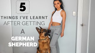 5 THINGS IVE LEARNT AFTER GETTING A GERMAN SHEPHERD [upl. by Schug776]